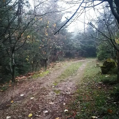 Dandy Agoriani - Iris- Fireplace - Up To 6 木屋 Eptálofos